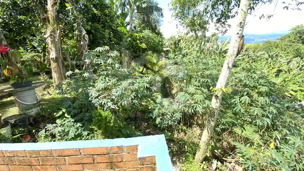 Vereda La Virginia Puente Tierra Yotoco